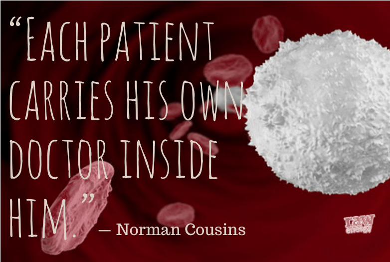 Each patient carries his own doctor inside him