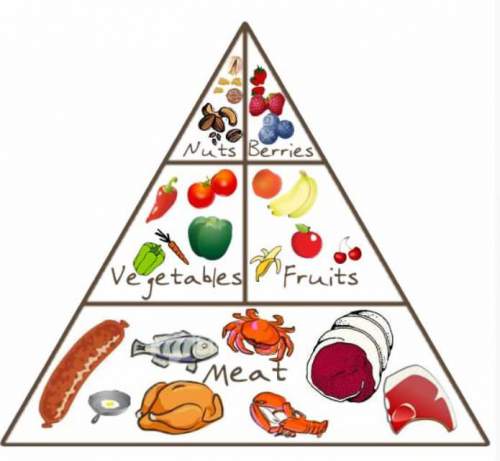 paleo diet food pyramid