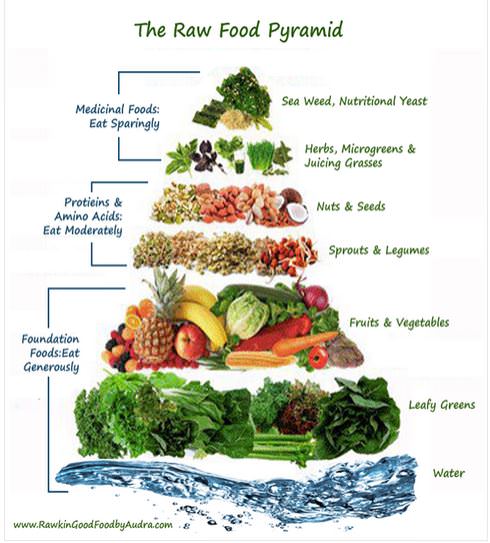 What's the Definition of Vegan? Is It a Diet or a Lifestyle?