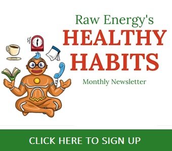 healthy habits ezine get raw energy