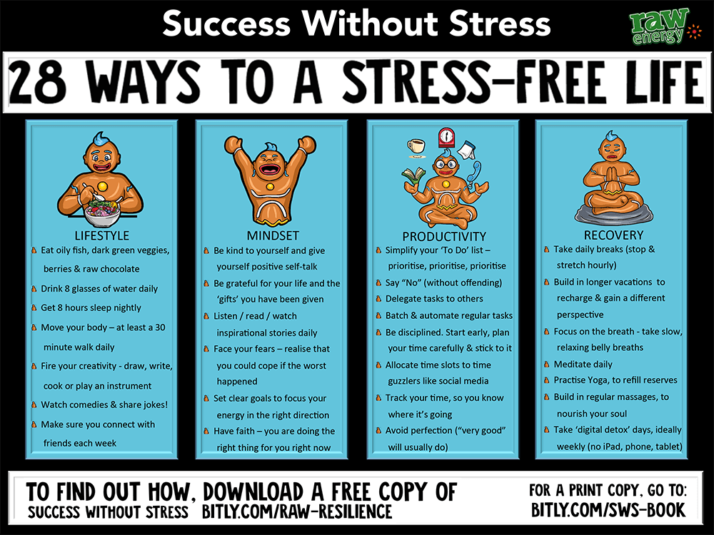 Success-without-stress-28-ways-to-a-stre