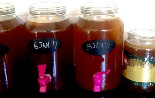 Kombucha brewing