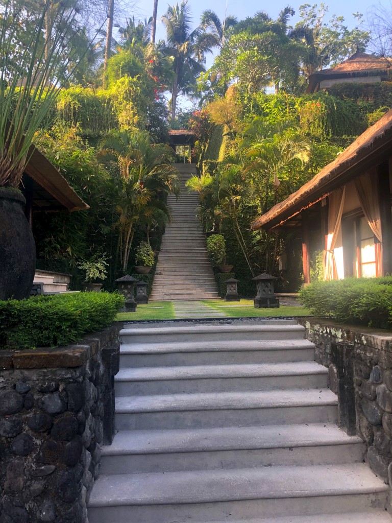 Step Outside of Your Life: My Sukhavati Wellness Retreat Experience