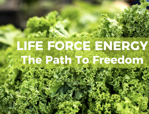 Life Force Energy – the path to freedom