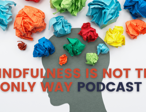 Mindfulness is Not the Only Way Podcast